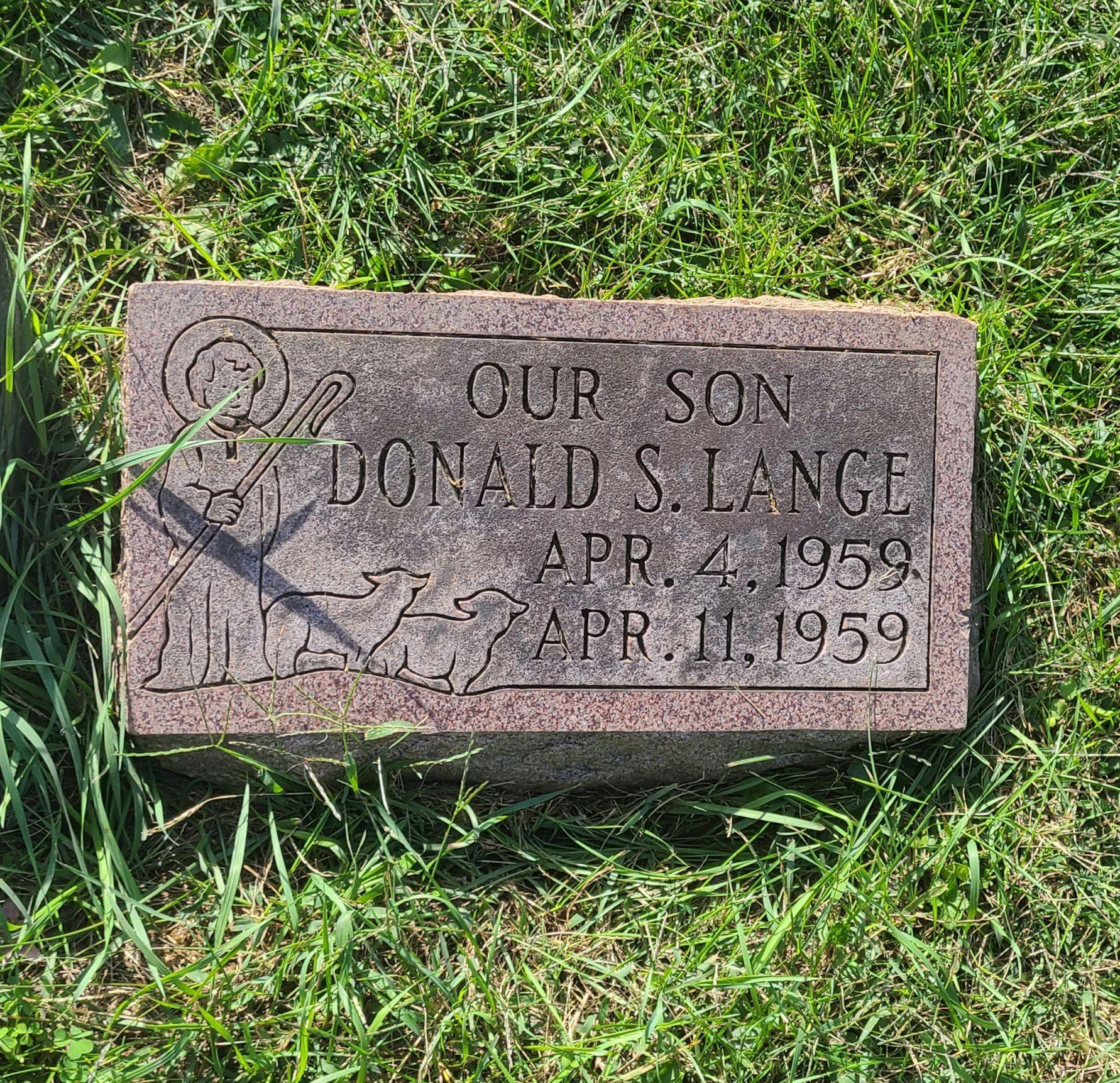 Gravestone Before Cleaning